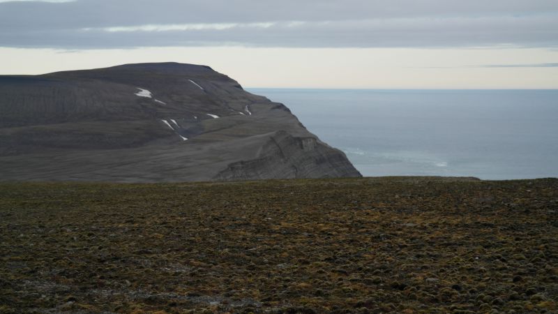 Iversenfjellets høyeste topp i bakgrunnen 
. Vi kan skimte Kvasstoppen midt på bildet.