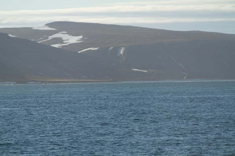 Kofoedodden sett fra sjøen øst for odden om bord i KV Svalbard