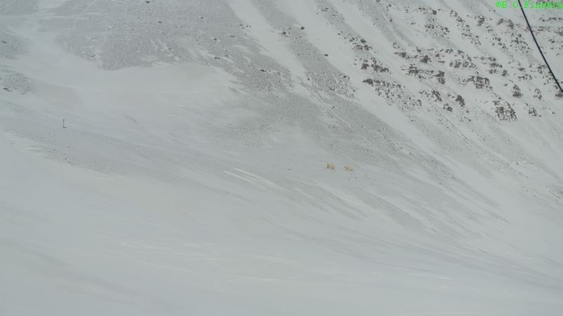 Til slutt gikk de opp på Bjørnsletta ved foten av Trollkaillen.