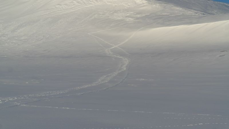 Ski- og gåspor ned fra Bjørnsletta.