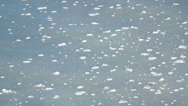 Isflak i havet utenfor Trollkaillen og Fuglefjellet.